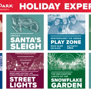 2025 All Experiences