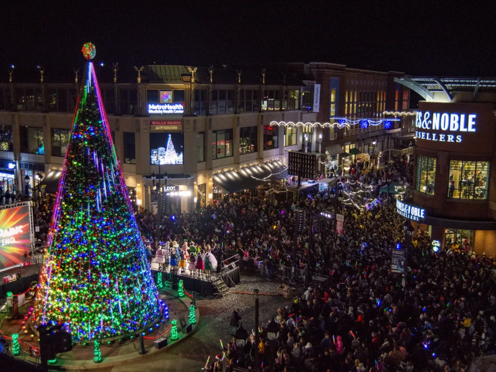 DSC_0095_1 DSC_0095_1