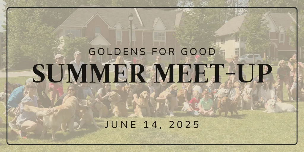 Sat, Jun 14th Hosted by goldens for good (community group). Come out and cozy up with some adorable golden retrievers for a good cause!